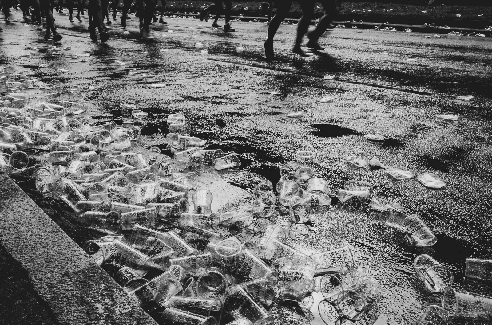 The shadows of trees and people crossing the ground. Photograph by Adelina Persa.