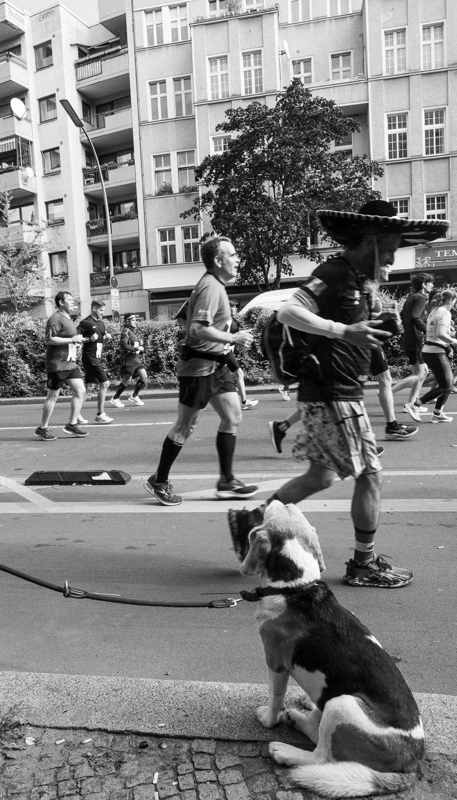 Street performers and passers-by on a city square. Photograph by Adelina Persa.
