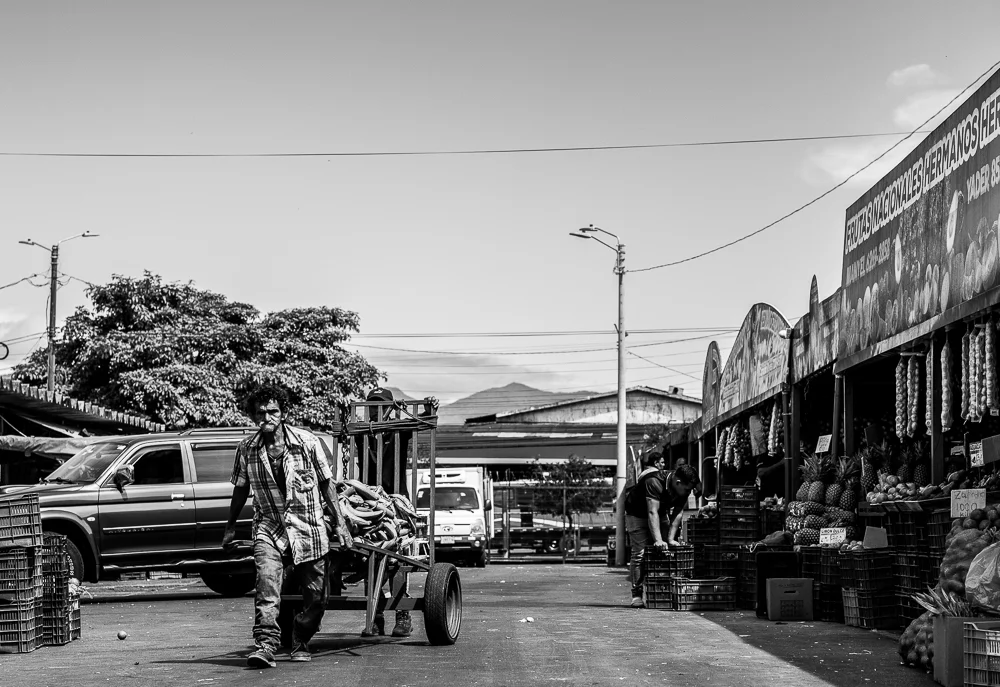 A market street with buildings and passing traffic. Photograph by Adelina Persa.