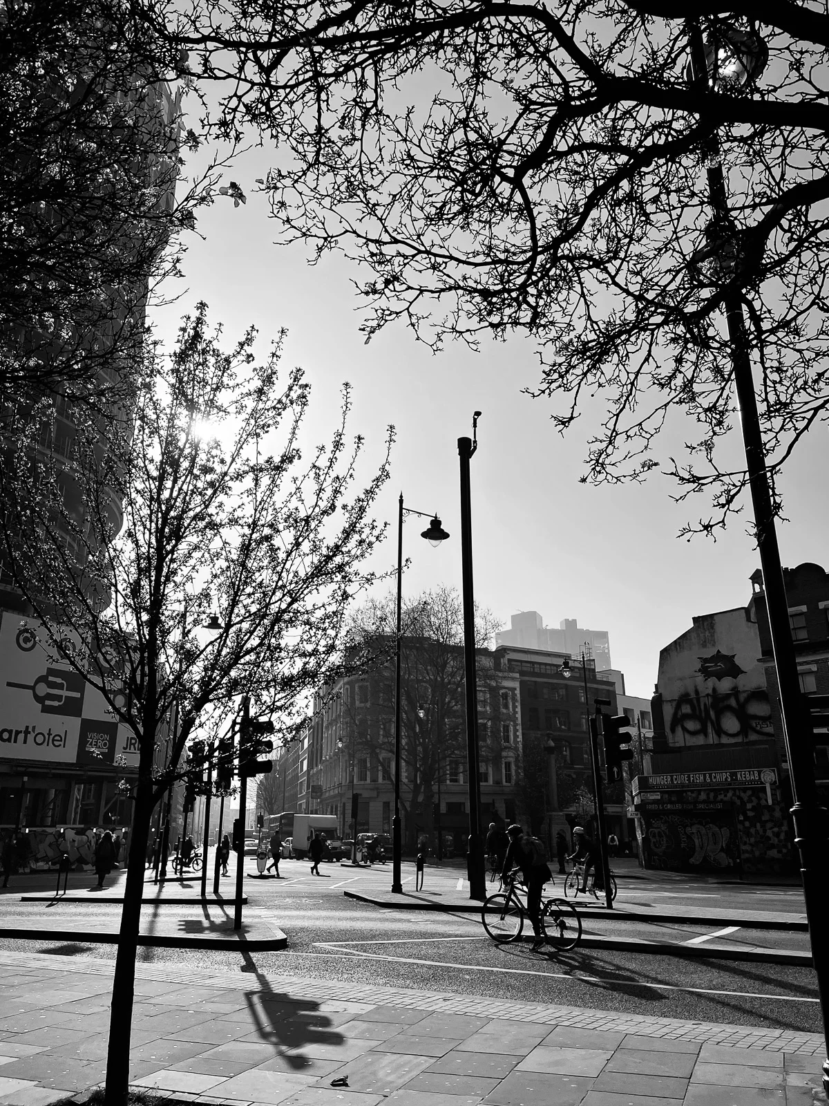 A quiet tree-lined street. Photograph by Adelina Persa.