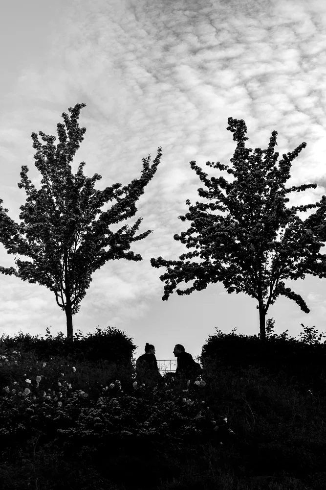 Two people talking beneath trees. Photograph by Adelina Persa.