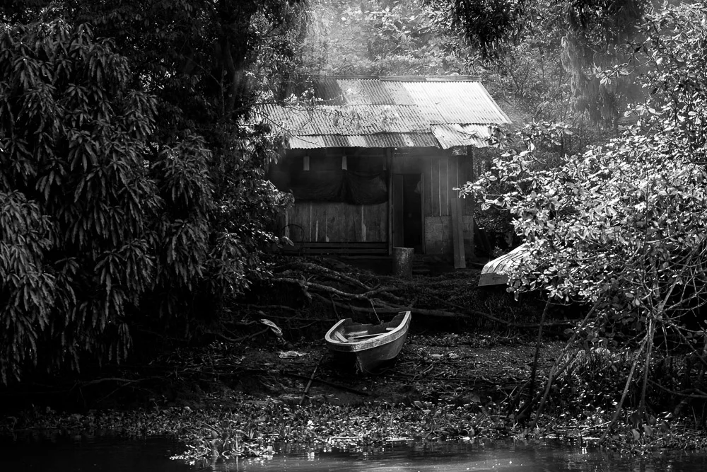 A small building and boat surrounded by trees. Photograph by Adelina Persa.