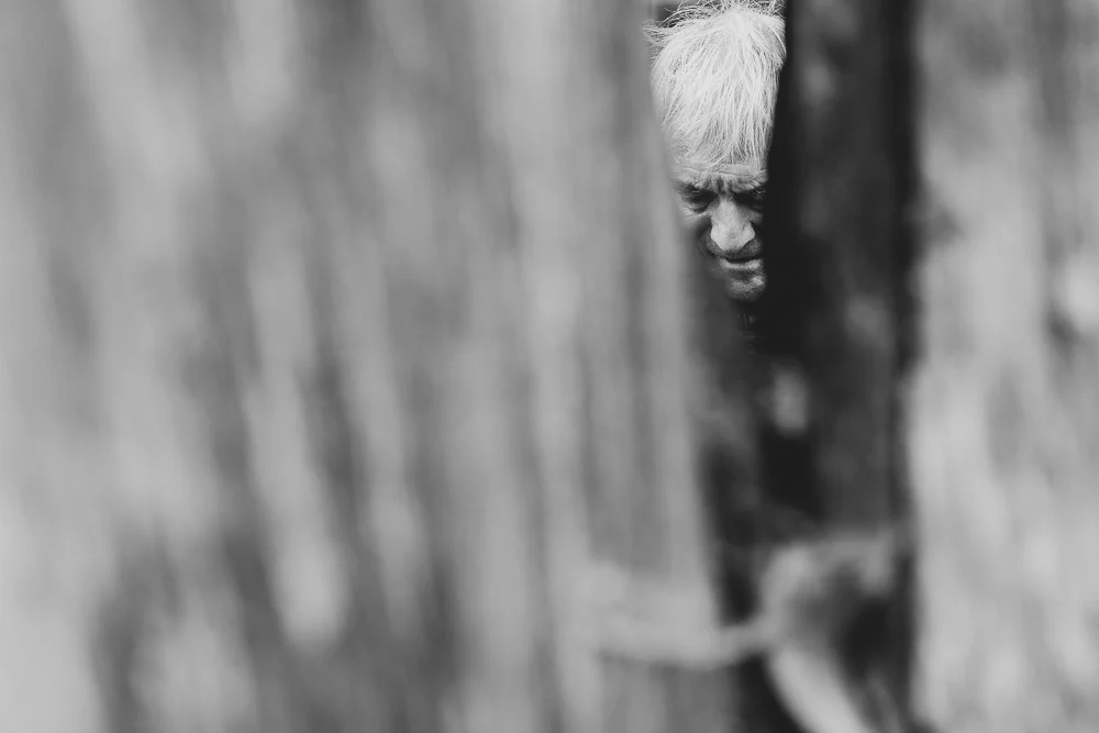 A face glimpsed between tree trunks. Photograph by Adelina Persa.