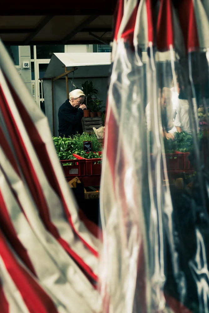Sneak peak. Photograph by Adelina Persa.